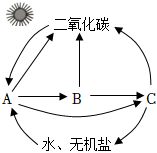 菁優(yōu)網(wǎng)