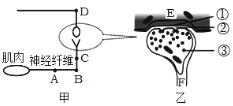 菁優(yōu)網(wǎng)