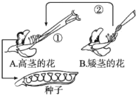 菁優(yōu)網(wǎng)