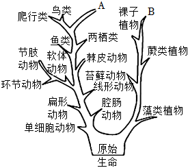 菁優(yōu)網(wǎng)