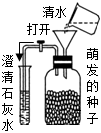 菁優(yōu)網(wǎng)