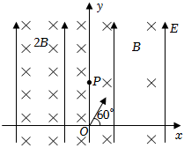 菁優(yōu)網(wǎng)