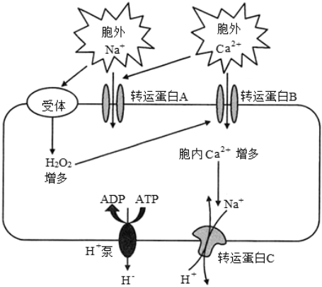 菁優(yōu)網(wǎng)