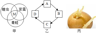 菁優(yōu)網(wǎng)