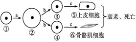 菁優(yōu)網