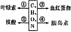 菁優(yōu)網(wǎng)