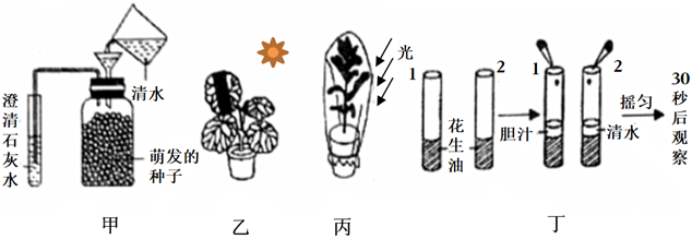 菁優(yōu)網(wǎng)