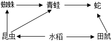 菁優(yōu)網(wǎng)