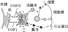 菁優(yōu)網(wǎng)