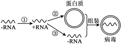 菁優(yōu)網