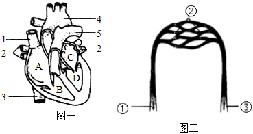 菁優(yōu)網(wǎng)