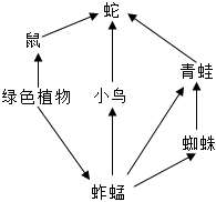 菁優(yōu)網(wǎng)