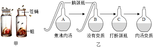 菁優(yōu)網(wǎng)