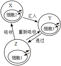 菁優(yōu)網(wǎng)