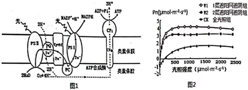 菁優(yōu)網(wǎng)