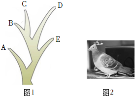 菁優(yōu)網(wǎng)