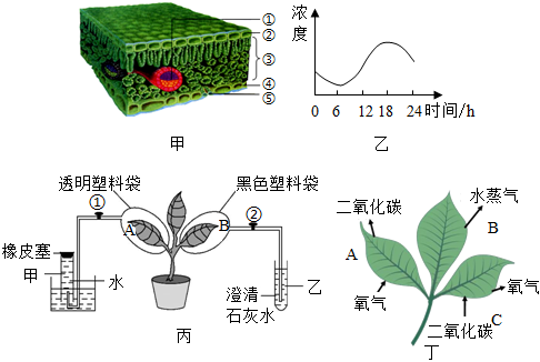 菁優(yōu)網(wǎng)