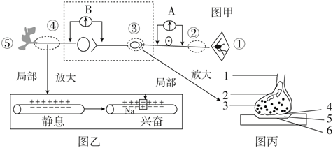 菁優(yōu)網(wǎng)