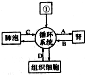 菁優(yōu)網(wǎng)