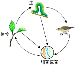 菁優(yōu)網(wǎng)