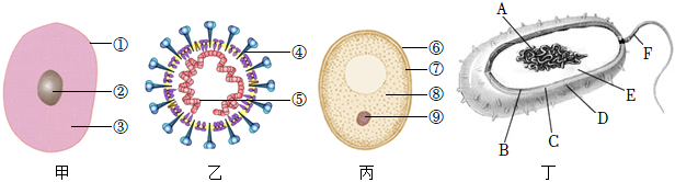 菁優(yōu)網(wǎng)