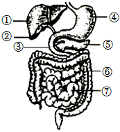 菁優(yōu)網(wǎng)