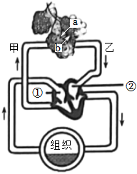 菁優(yōu)網(wǎng)