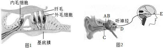 菁優(yōu)網