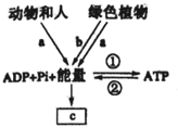 菁優(yōu)網(wǎng)