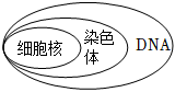 菁優(yōu)網