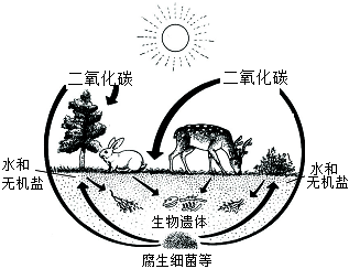 菁優(yōu)網(wǎng)