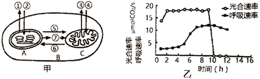 菁優(yōu)網(wǎng)