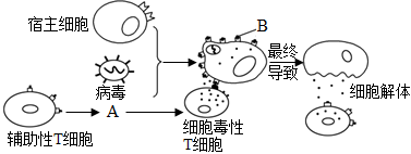 菁優(yōu)網