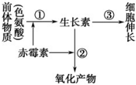 菁優(yōu)網(wǎng)