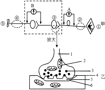 菁優(yōu)網(wǎng)