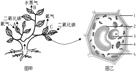 菁優(yōu)網(wǎng)