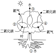 菁優(yōu)網