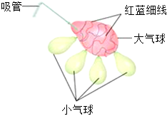 菁優(yōu)網(wǎng)