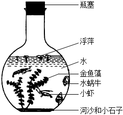 菁優(yōu)網(wǎng)