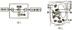 菁優(yōu)網(wǎng)