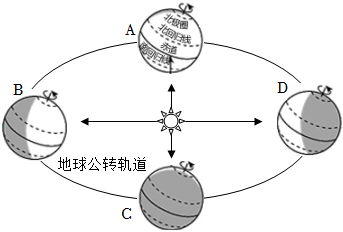 菁優(yōu)網