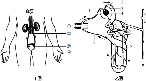 菁優(yōu)網(wǎng)