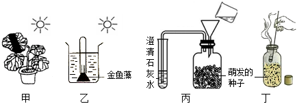 菁優(yōu)網