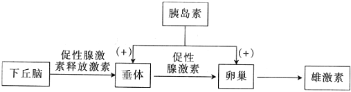 菁優(yōu)網(wǎng)