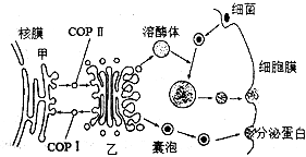 菁優(yōu)網(wǎng)