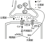 菁優(yōu)網