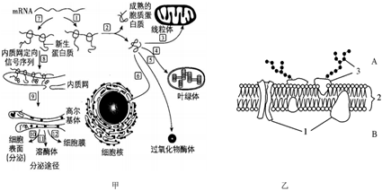 菁優(yōu)網(wǎng)