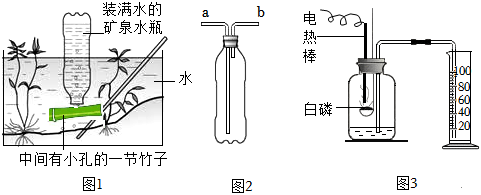 菁優(yōu)網