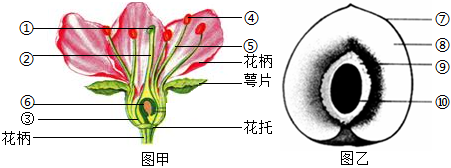 菁優(yōu)網(wǎng)