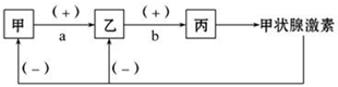 菁優(yōu)網(wǎng)